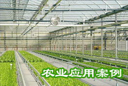 農(nóng)業(yè)應(yīng)用案例：水源熱泵機(jī)組助力恒溫大棚種植，更低運(yùn)行成本
